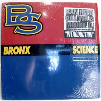 Cover image for The Introduction / Enough