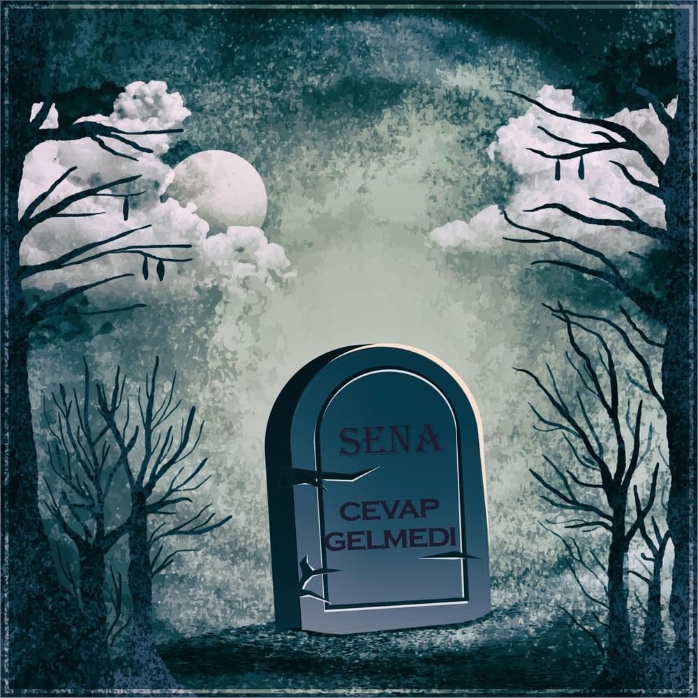 Cover image for Cevap Gelmedi