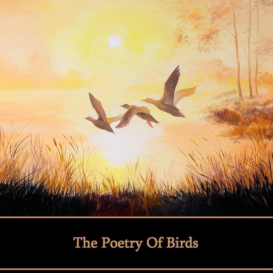 W H Davis - The Kingfisher by Siân Phillips