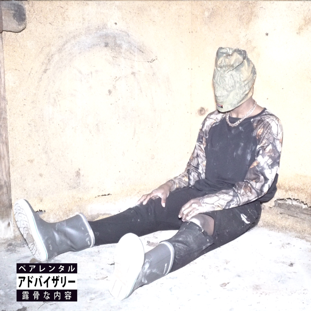 Album cover art for "‌man purse" by JPEGMAFIA