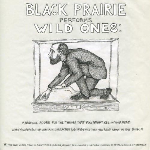 Dear Sir, Most Sincerely, William Temple Hornaday by Black Prairie