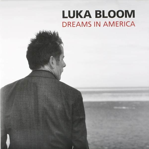 Cover image for Dreams In America