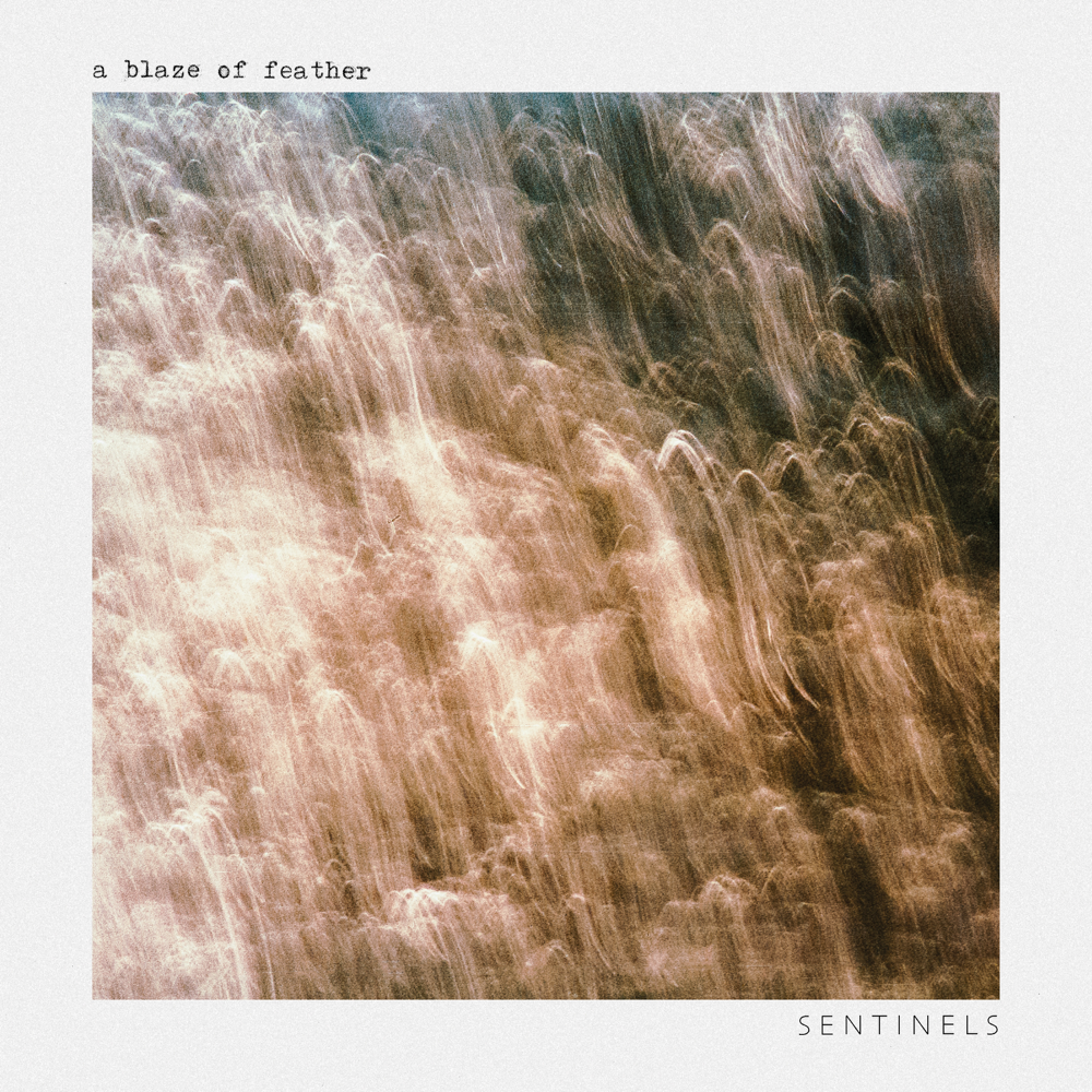 Album cover art for "Sentinels" by A Blaze of Feather