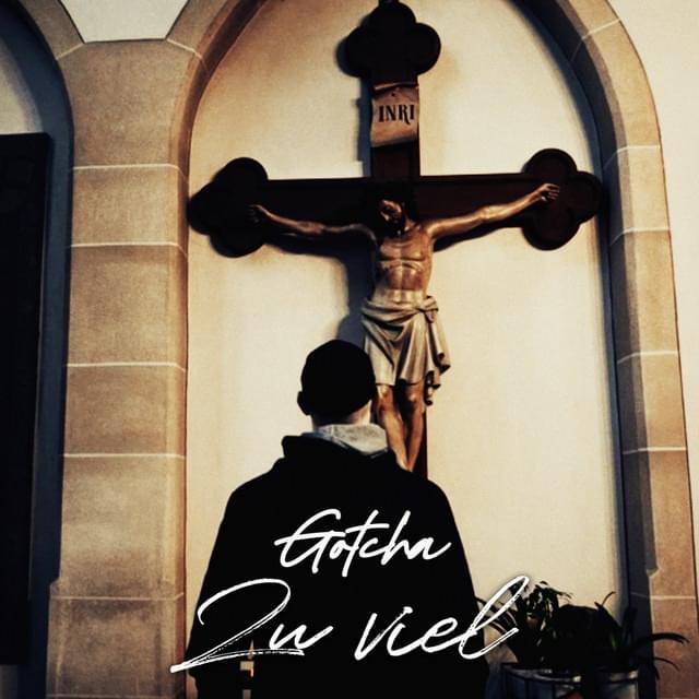 Zu viel by GOTCHA (DEU)