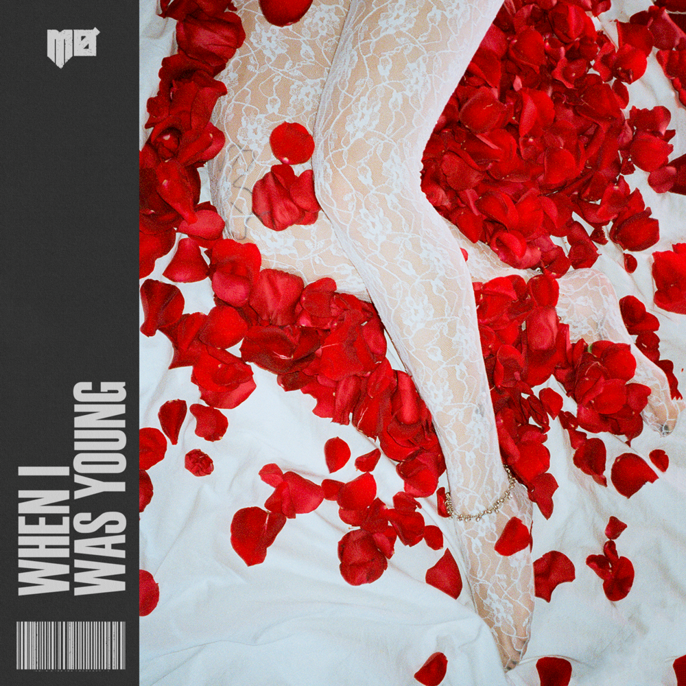 Cover image for When I Was Young