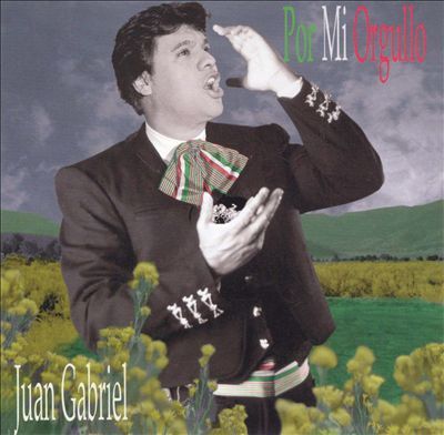 Cover image for Por mi orgullo