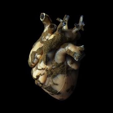 Cover image for Uranium Heart