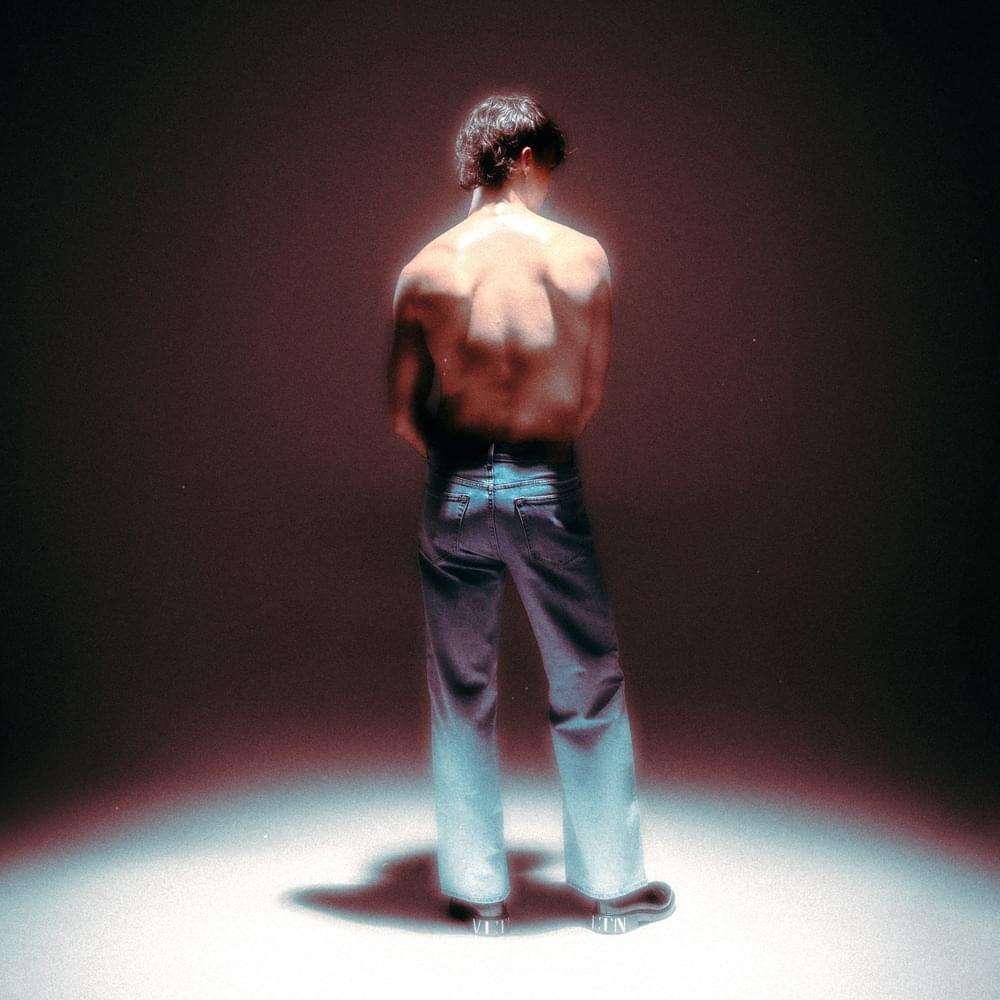Album cover art for "Wasted" by ADONXS