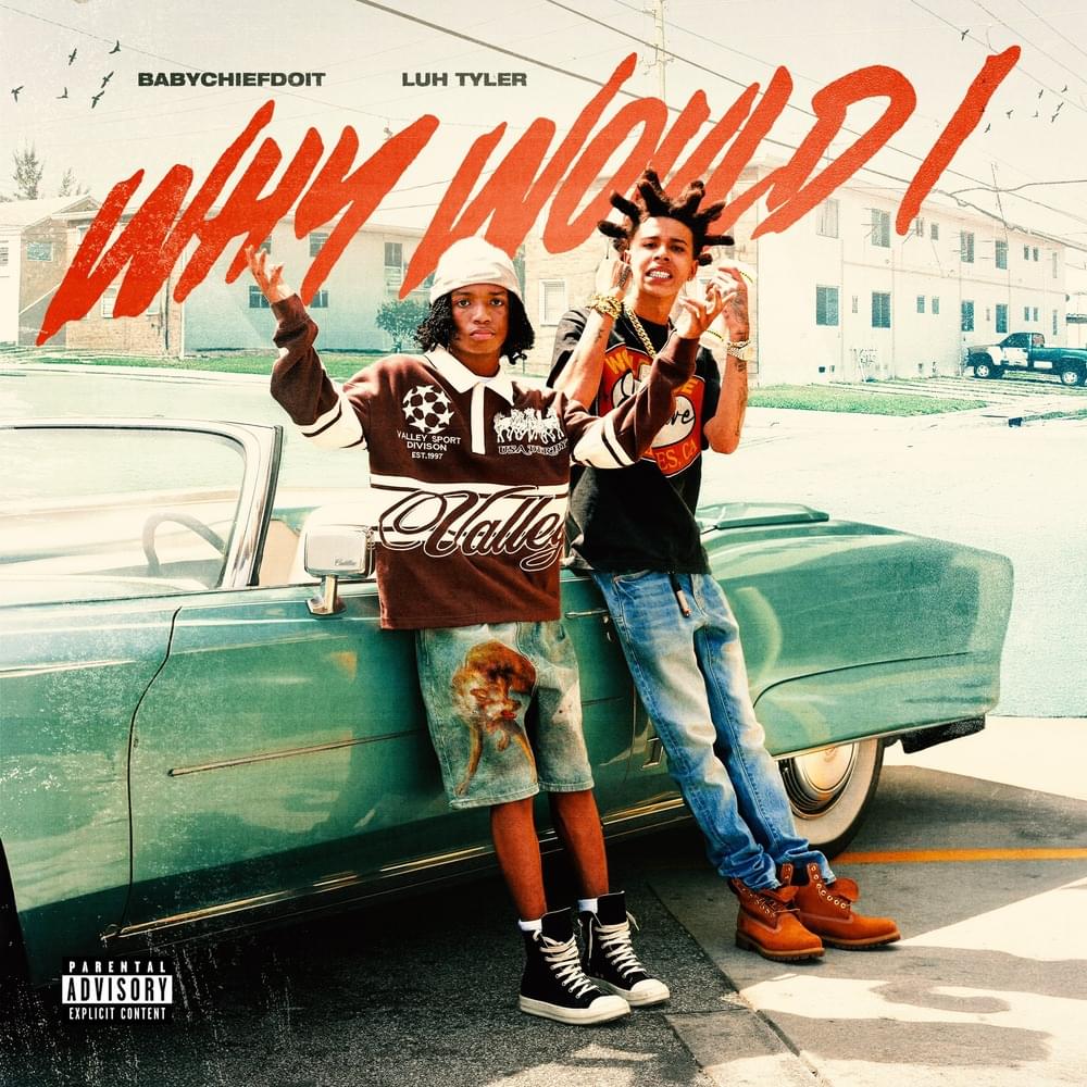 Album cover art for "Why Would I?" by BabyChiefDoit