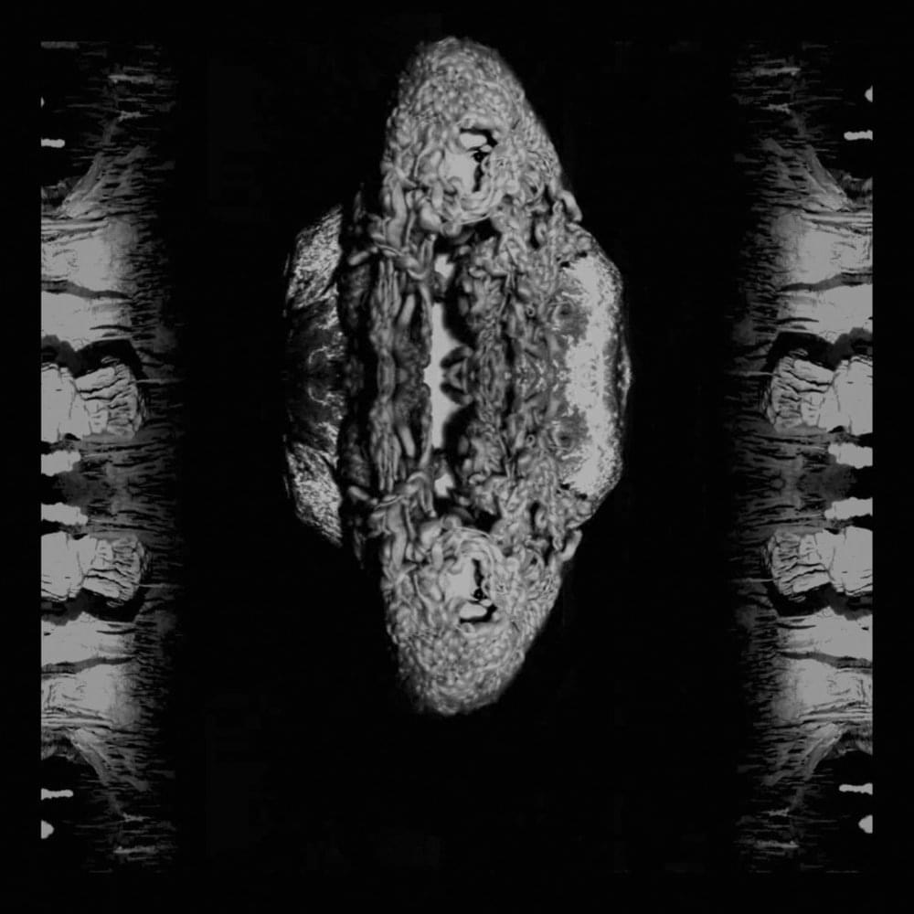 Album cover art for "I Am Shell I Am Bone" by Gazelle Twin