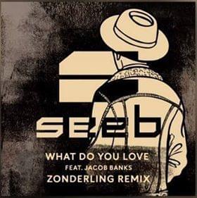 Album cover art for "What Do You Love (Zonderling Remix)" by Seeb & Jacob Banks