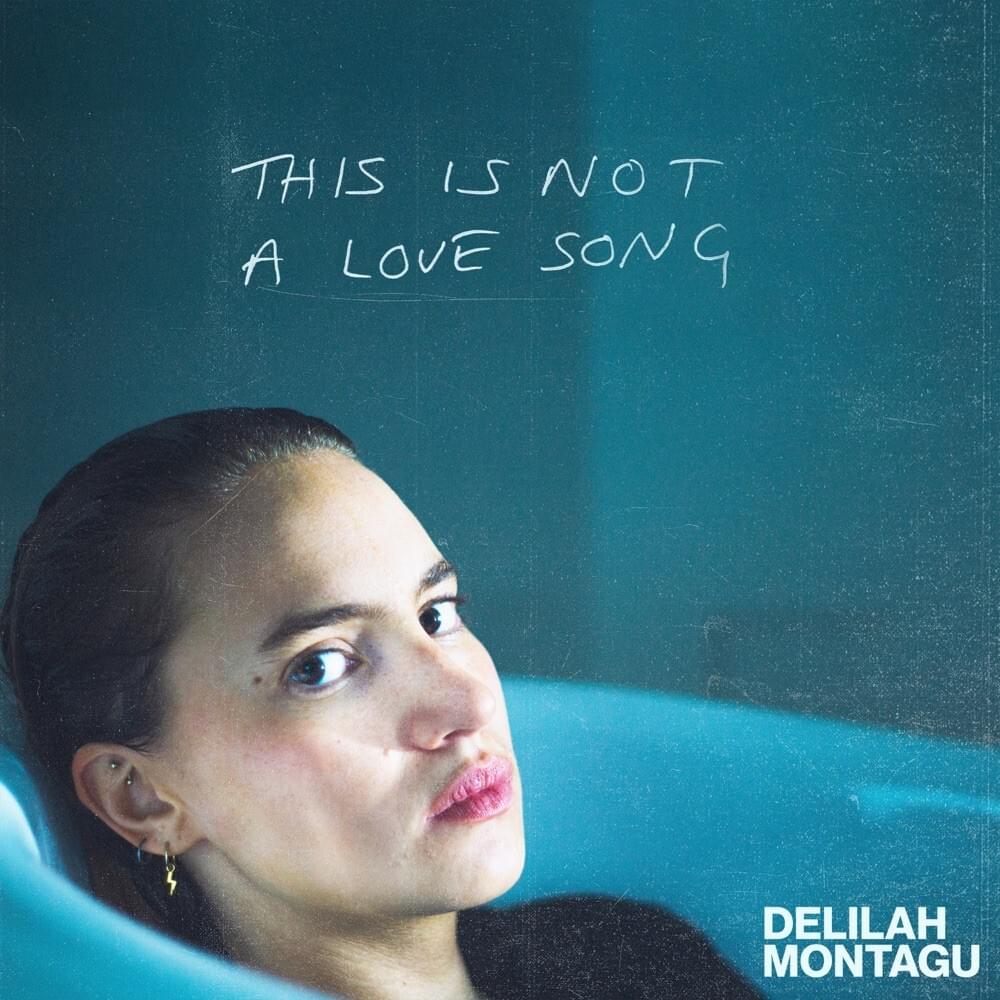 This Is Not a Love Song by Delilah Montagu