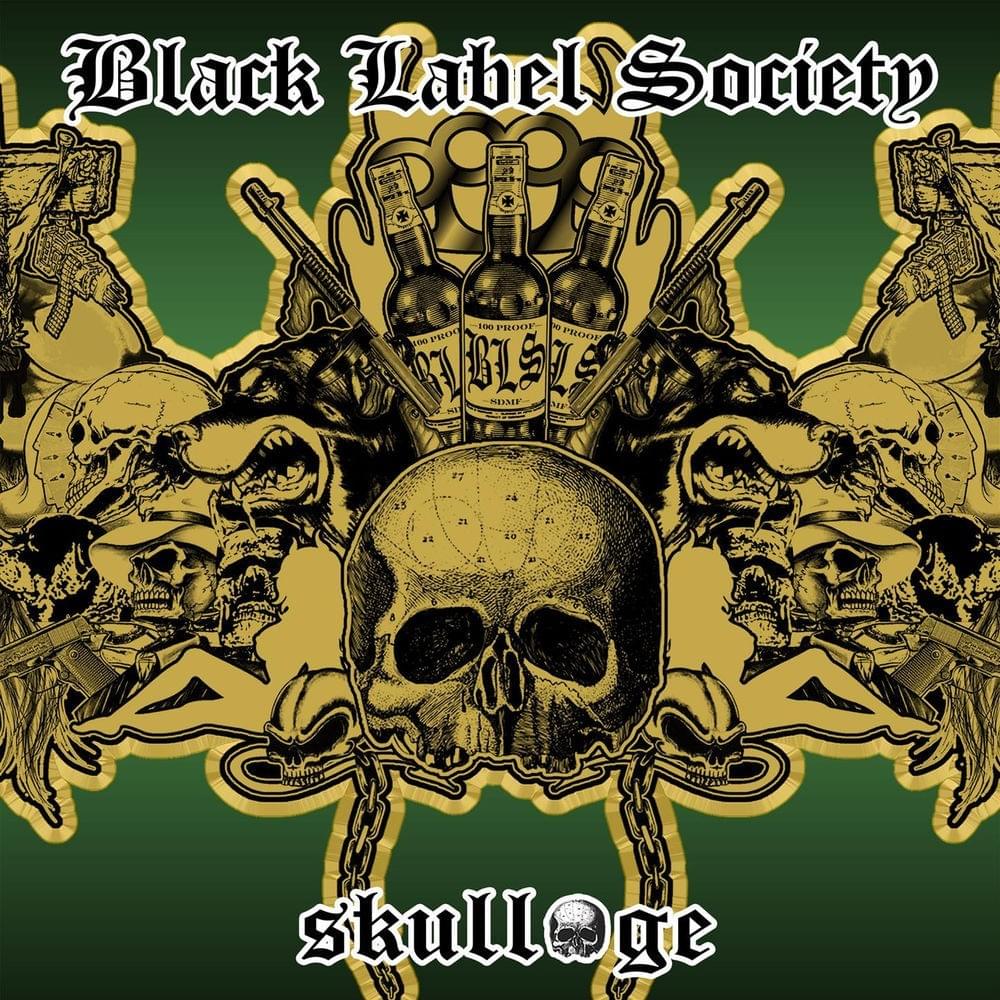 Cover image for Skullage