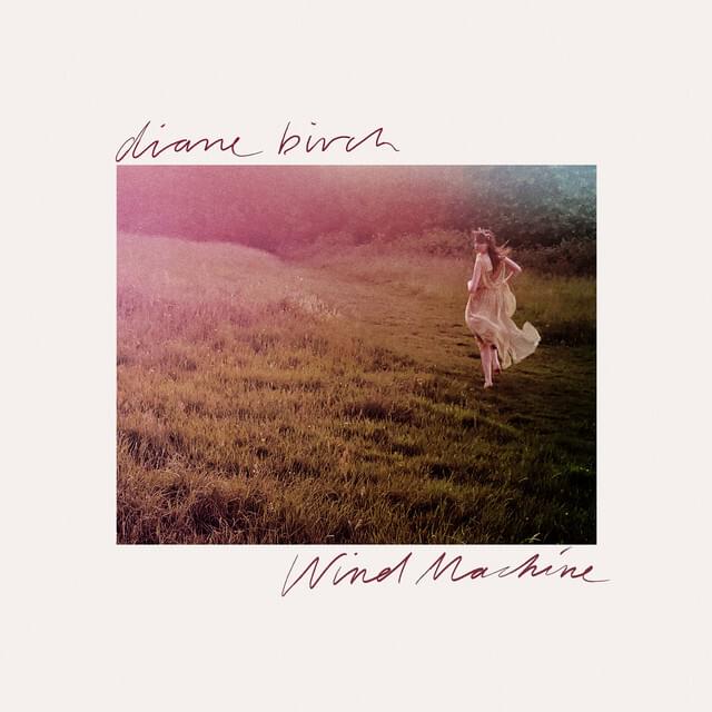 Wind Machine by Diane Birch