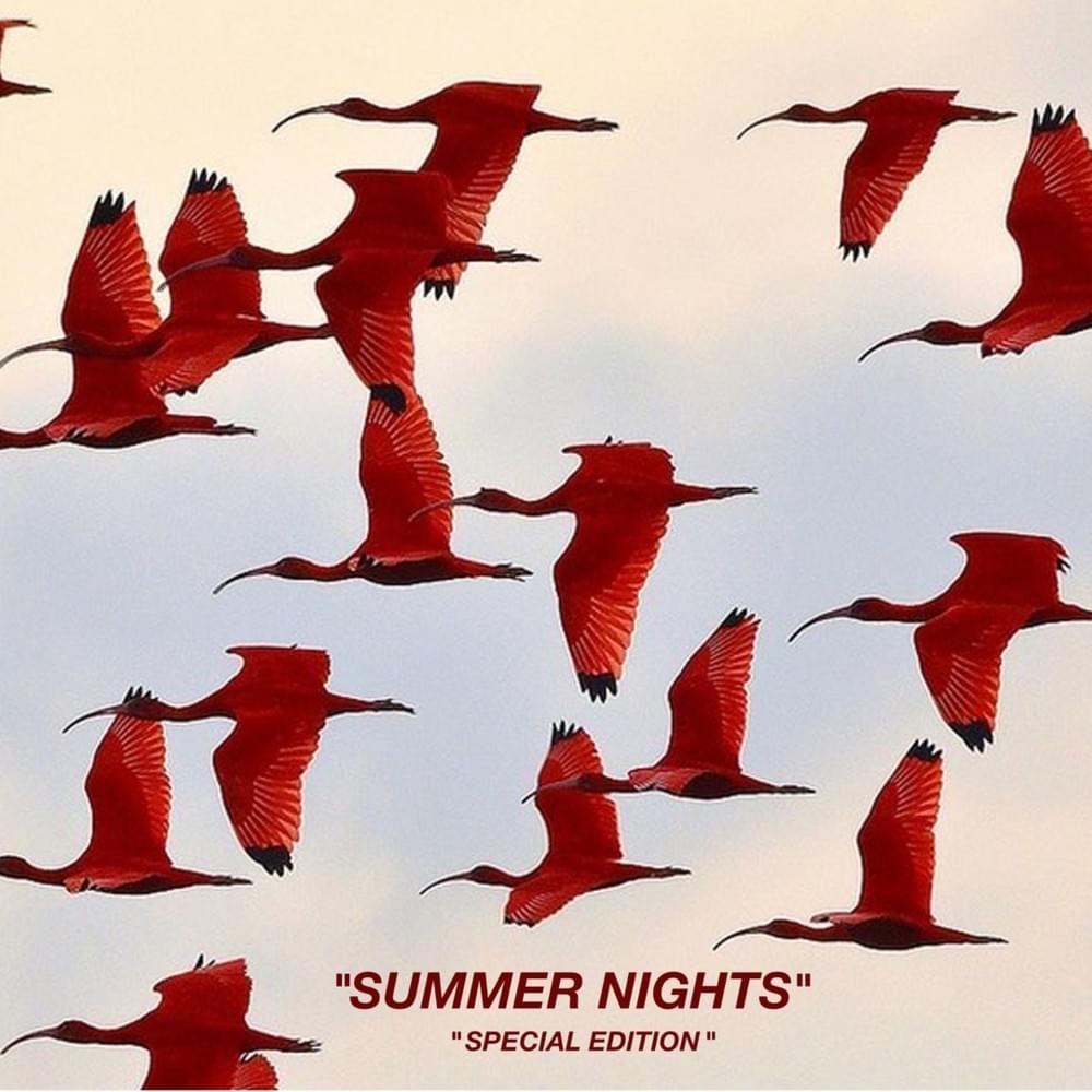 Cover image for SUMMERNIGHTS.special edition 2