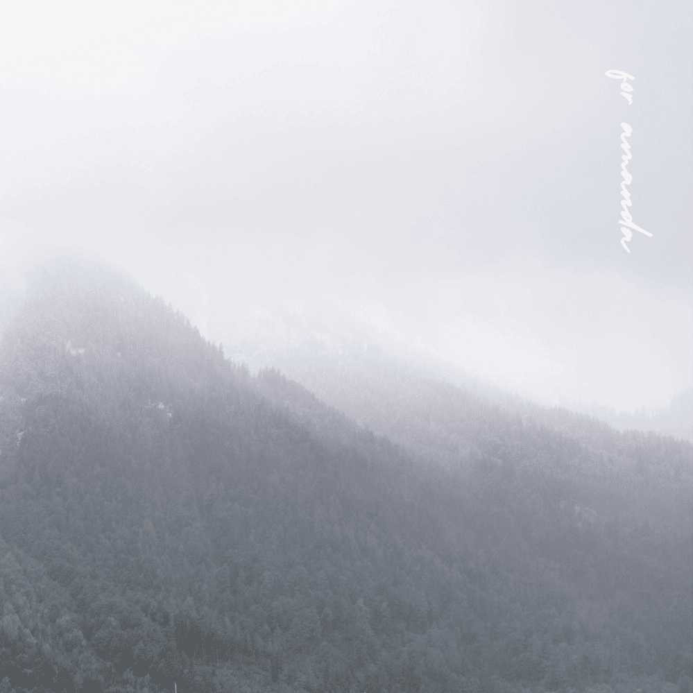 Cover image for For Amanda