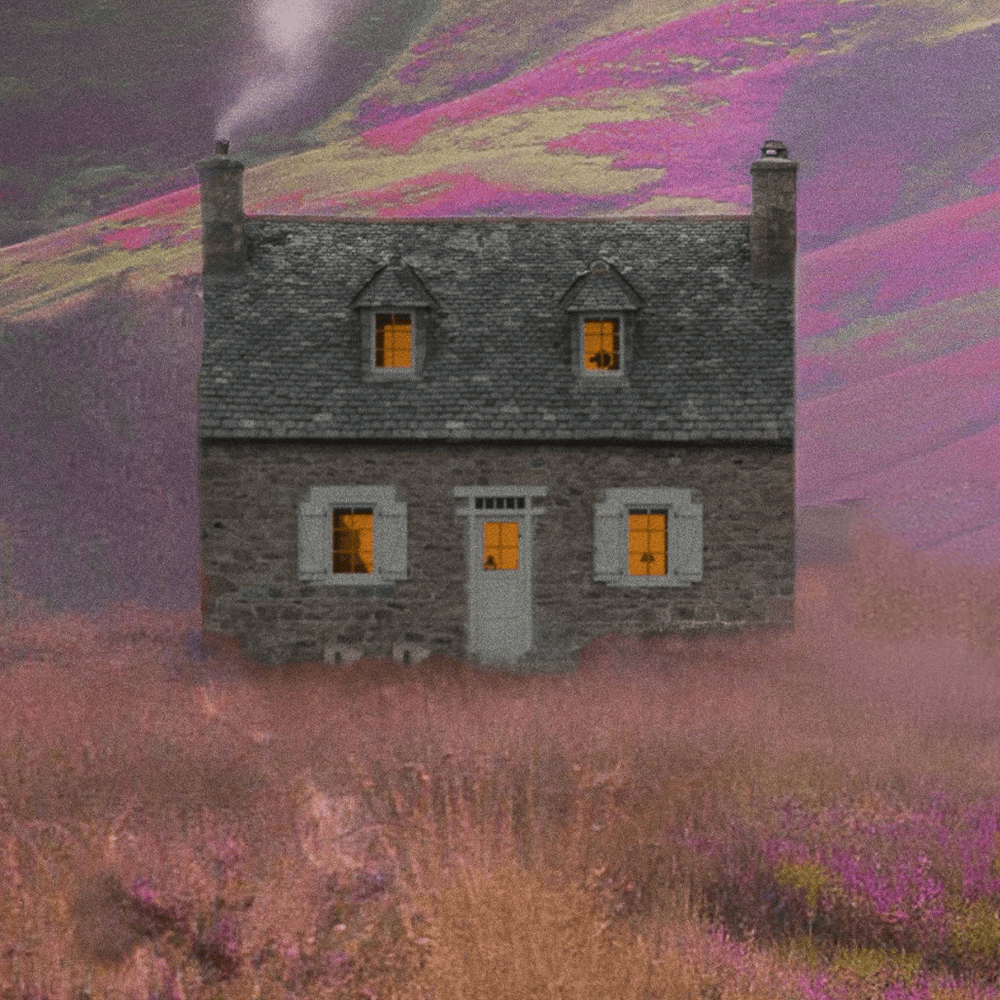 Cover image for NE3*