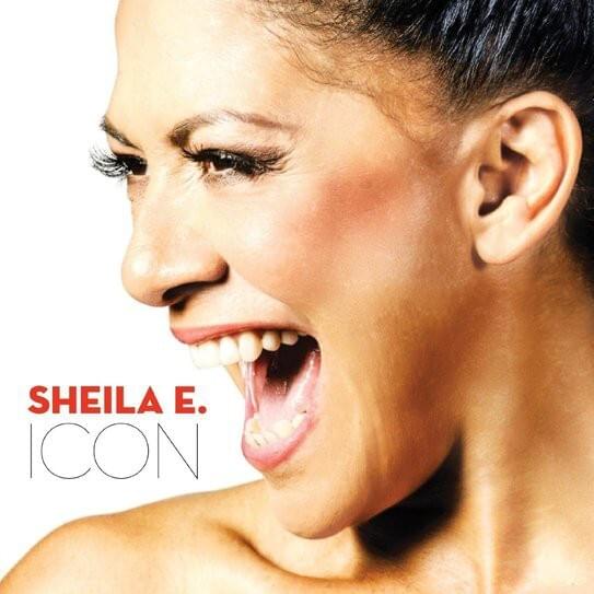 Cover image for Icon