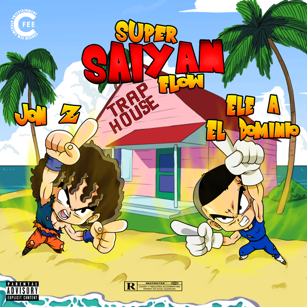 Cover image for Super Saiyan Flow