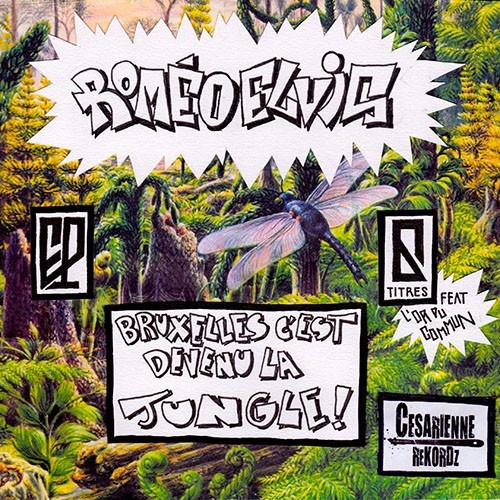 Cover image for Bruxelles c’est devenu la jungle