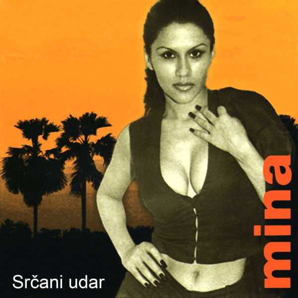 Srčani udar by Mina Kostić