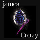 Album cover art for "Crazy" by James