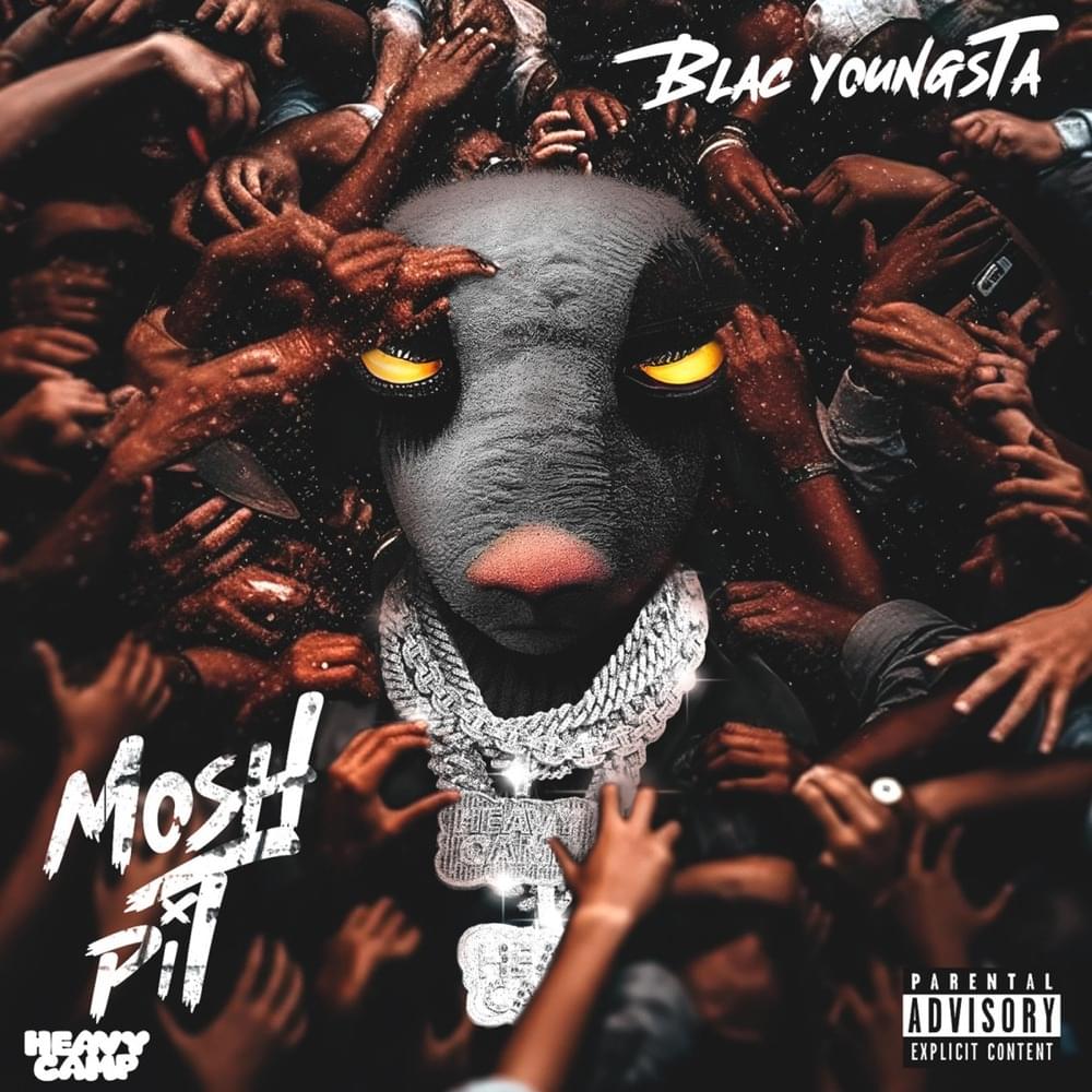 Album cover art for "Mosh Pit" by Blac Youngsta