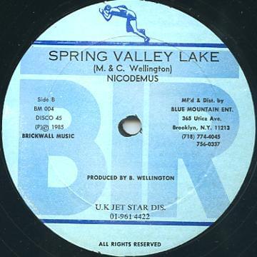 Album cover art for "Spring Valley" by Nicodemus