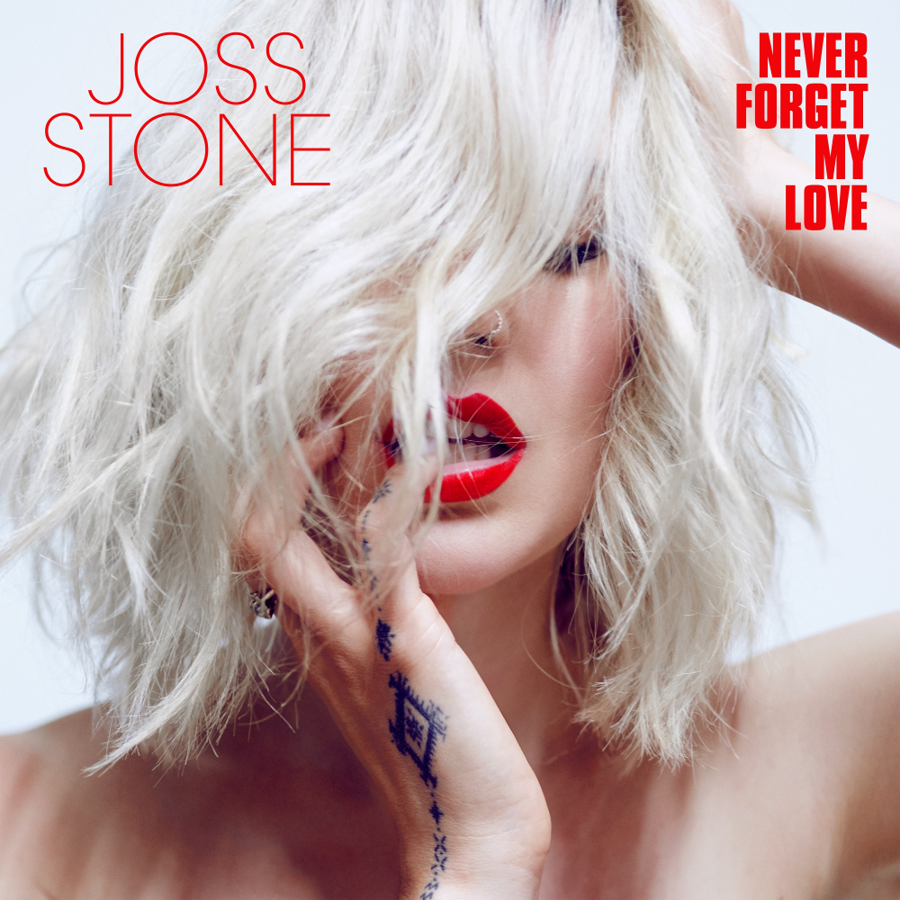Cover image for Never Forget My Love