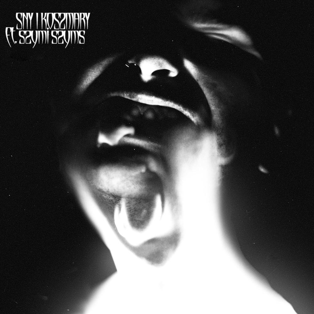 Album cover art for "Sny i Koszmary" by Wac Toja & Szymi Szyms