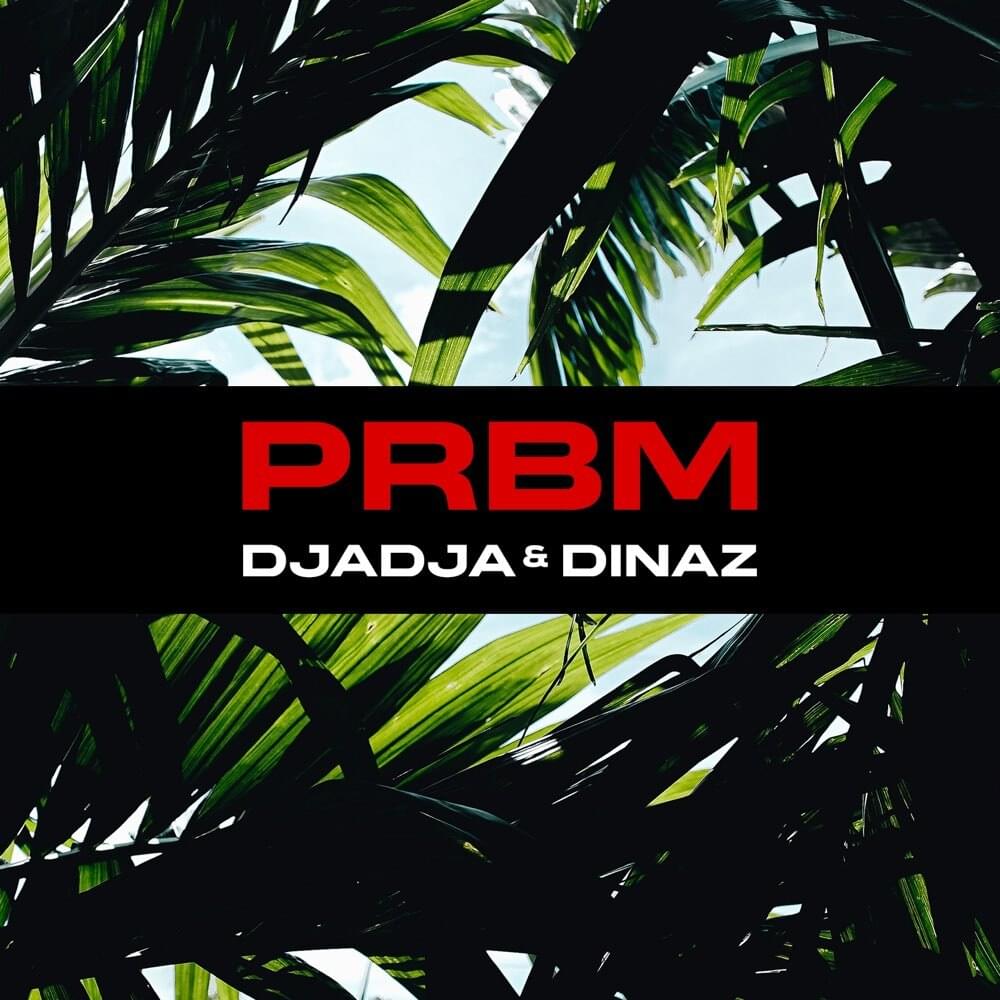 Album cover art for "PRBM" by Djadja & Dinaz