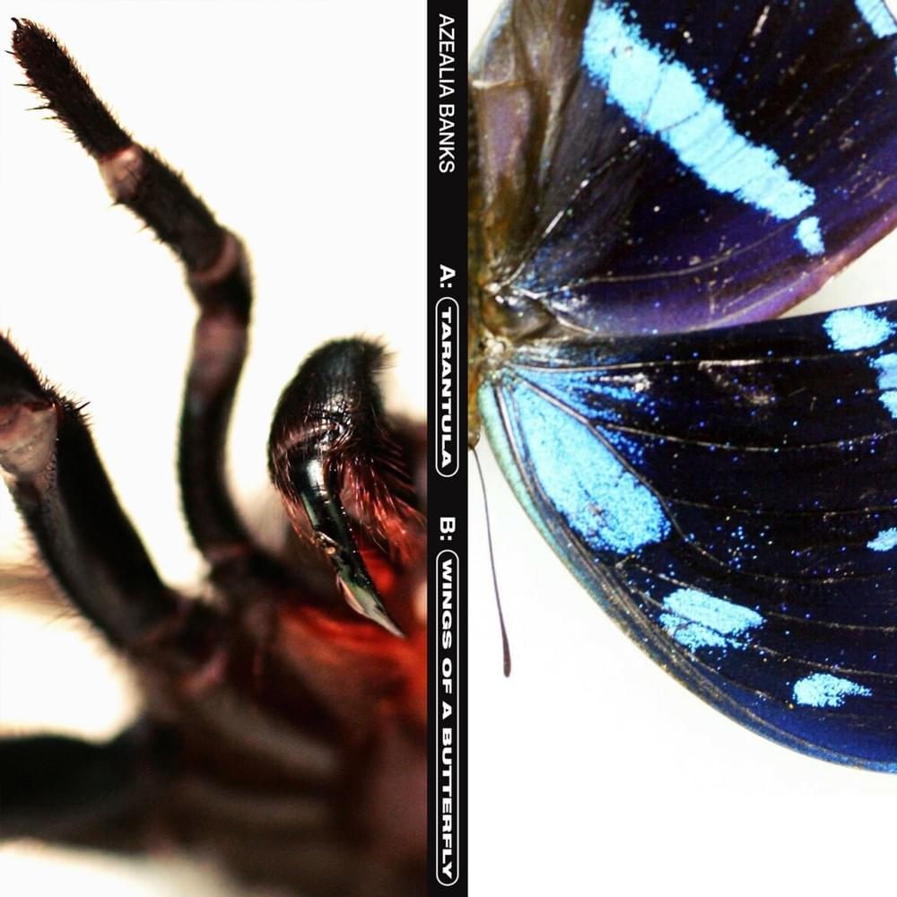 Cover image for Tarantula - Single