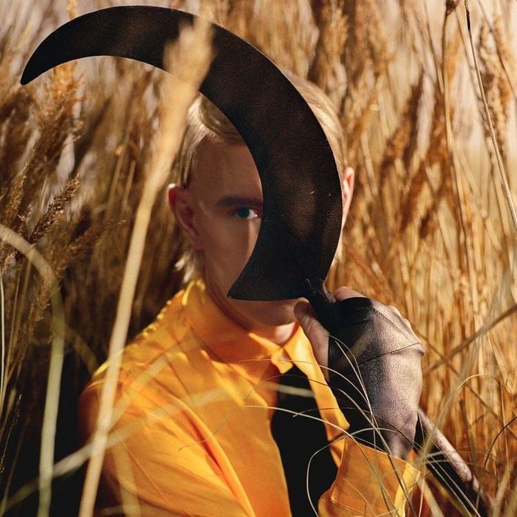Album cover art for "Dies Irae" by Patrick Wolf