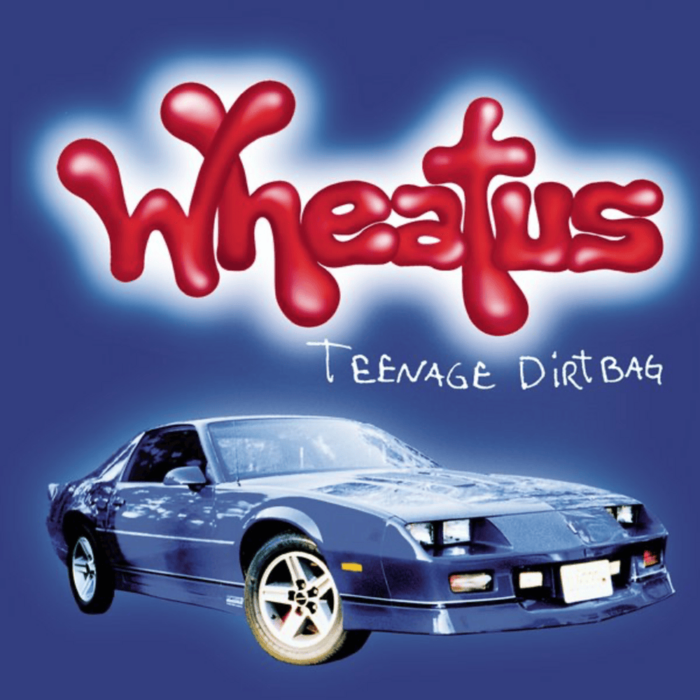 Album cover art for "Teenage Dirtbag" by Bravo Hits
