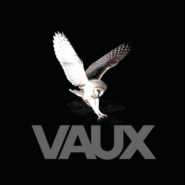 Identity Theft by Vaux