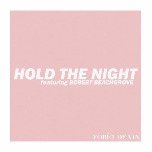 Hold The Night by Forêt De Vin