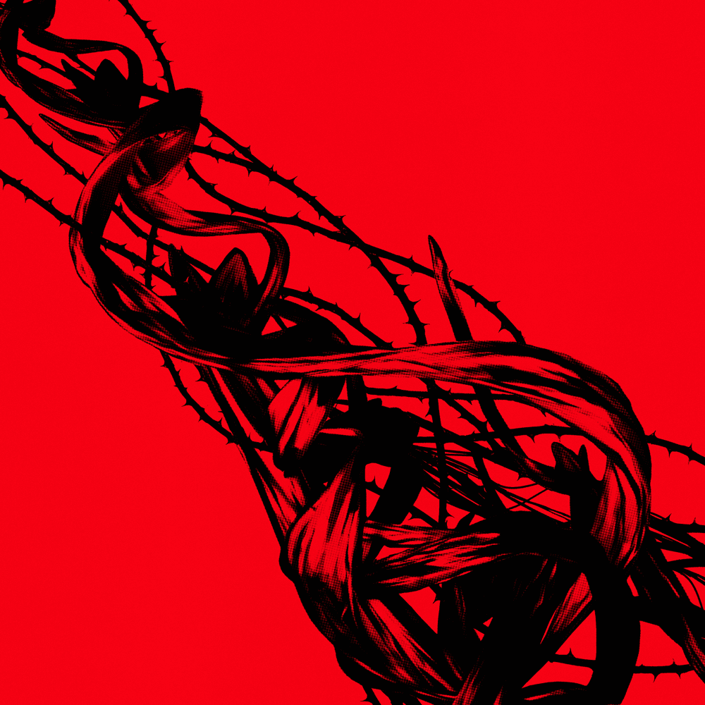 Cover image for Entangled