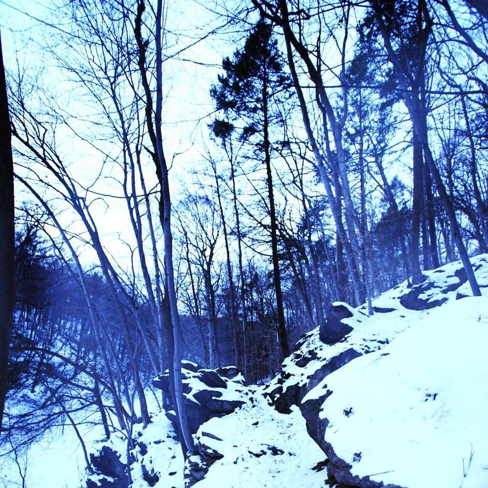 Album cover art for "Frozen Bones" by TrippyThaKid