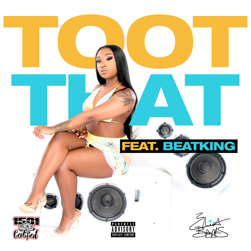 Toot That by Erica Banks