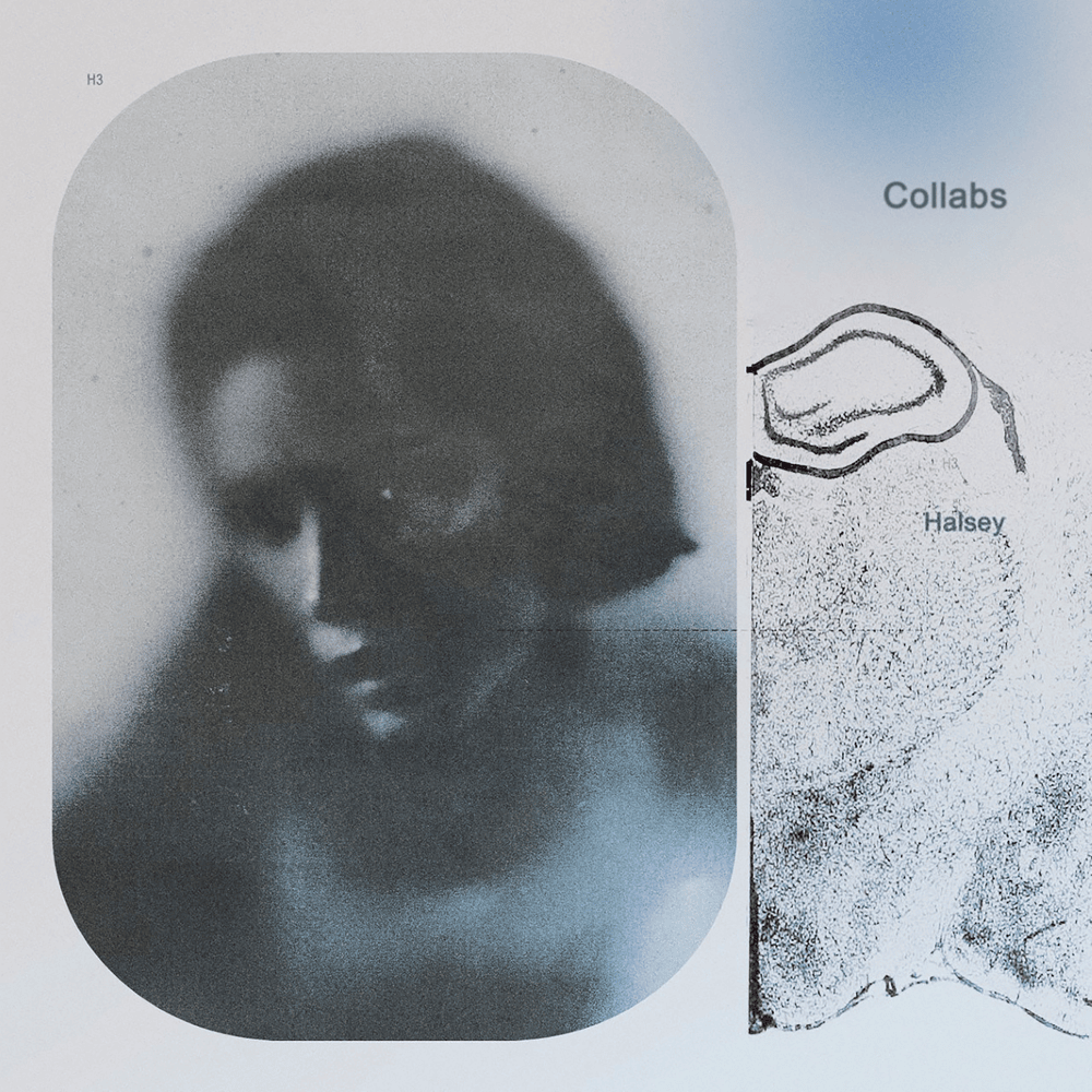 Cover image for Collabs