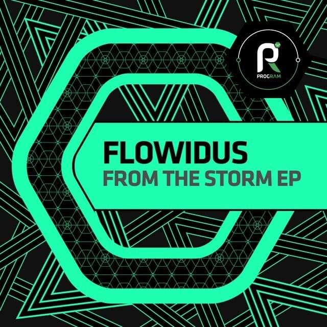 Cover image for From The Storm EP