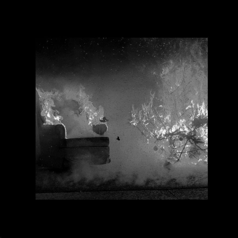 Album cover art for "Blixen" by Insite