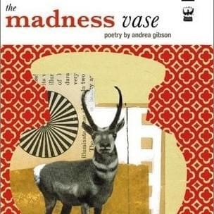 Cover image for The Madness Vase