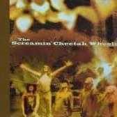 Somethin’ else by Screamin’ Cheetah Wheelies