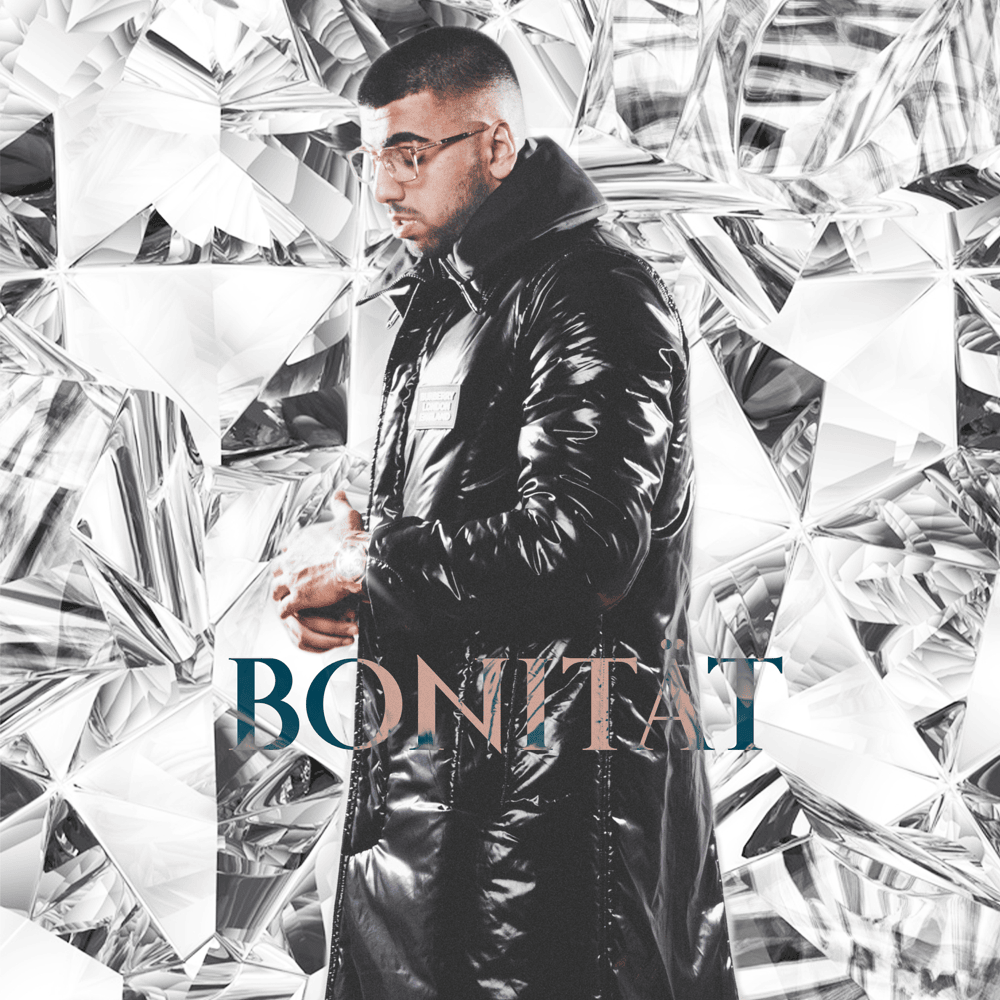 Cover image for Bonität Plus