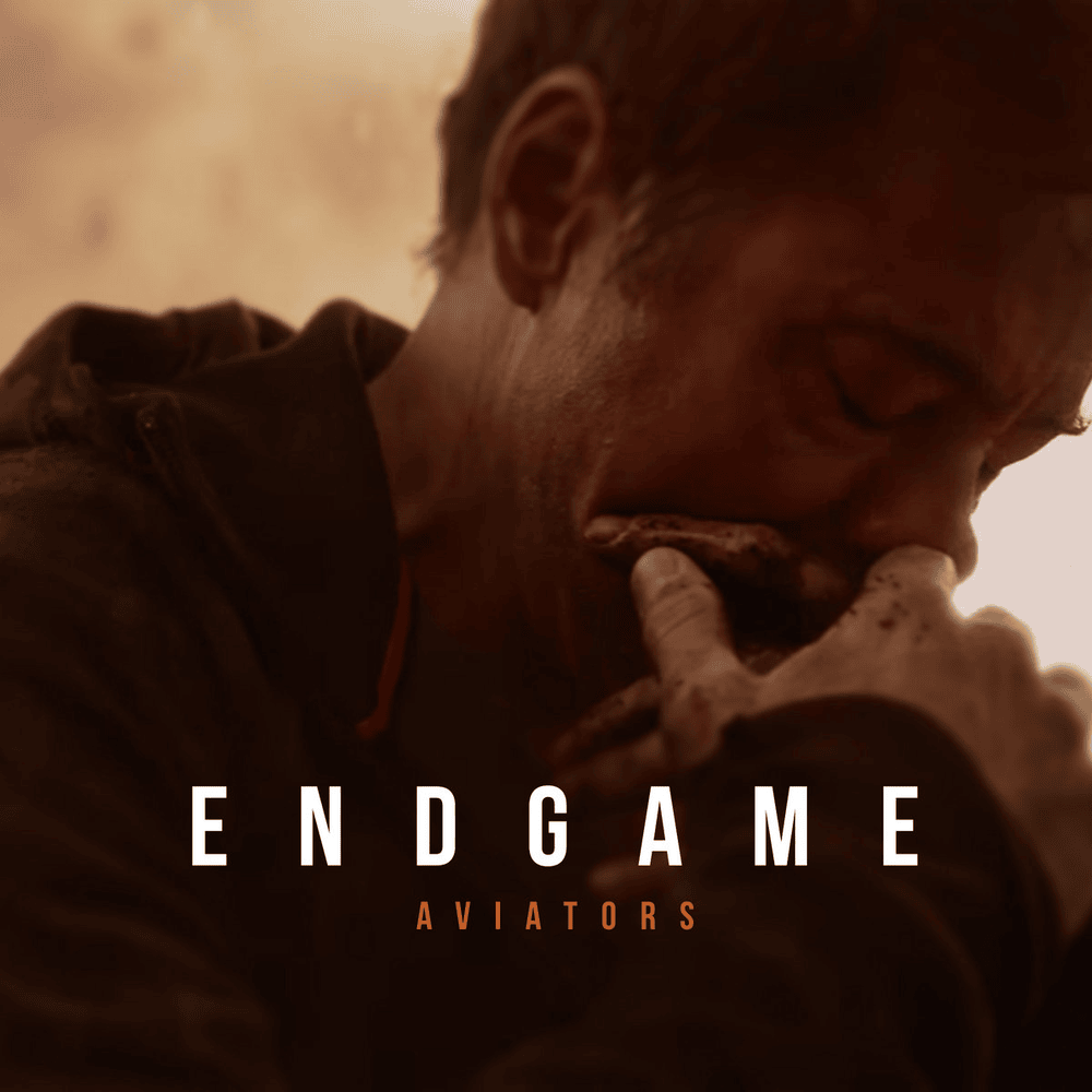 Album cover art for "Endgame" by Aviators