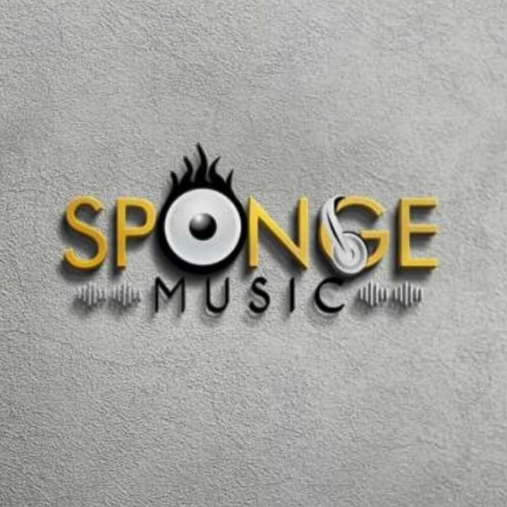 Cover image for Sponge Music