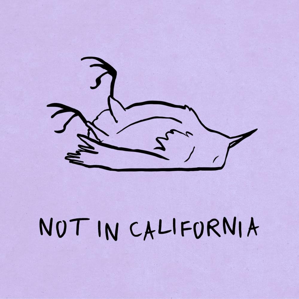Album cover art for "Not in California" by K.Flay