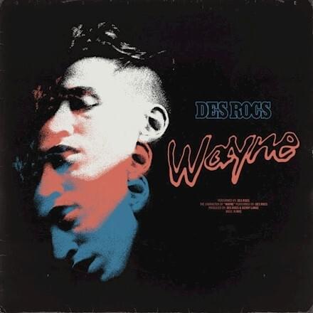 Cover image for Wayne [Single]