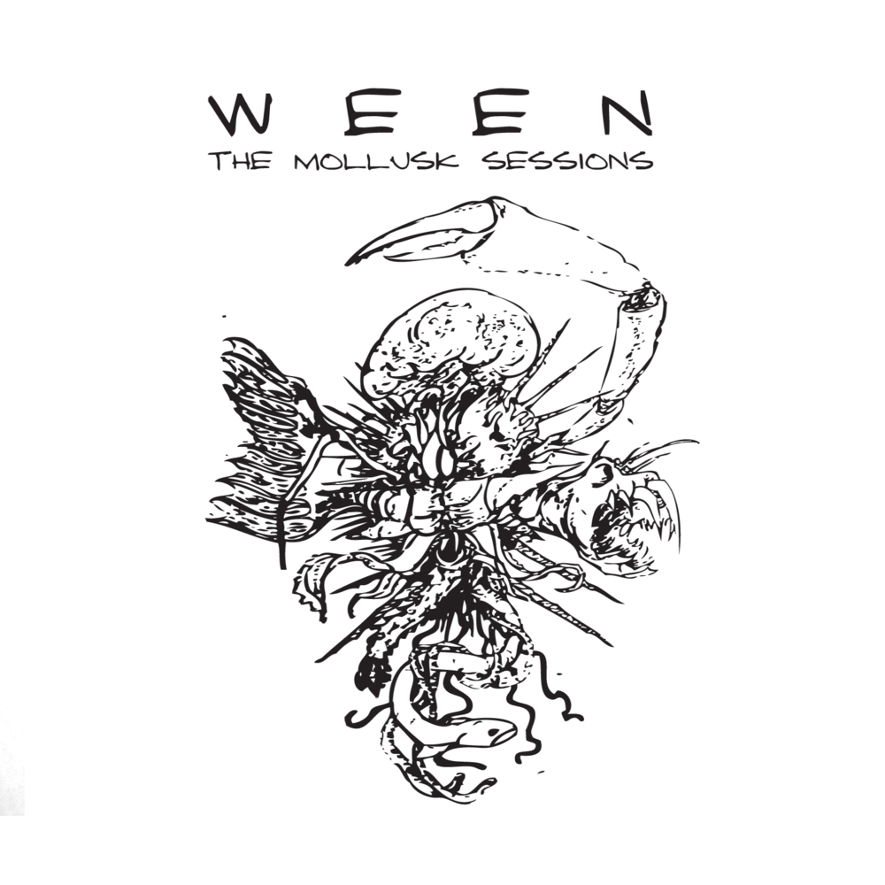 Album cover art for "Kim Smoltz" by Ween